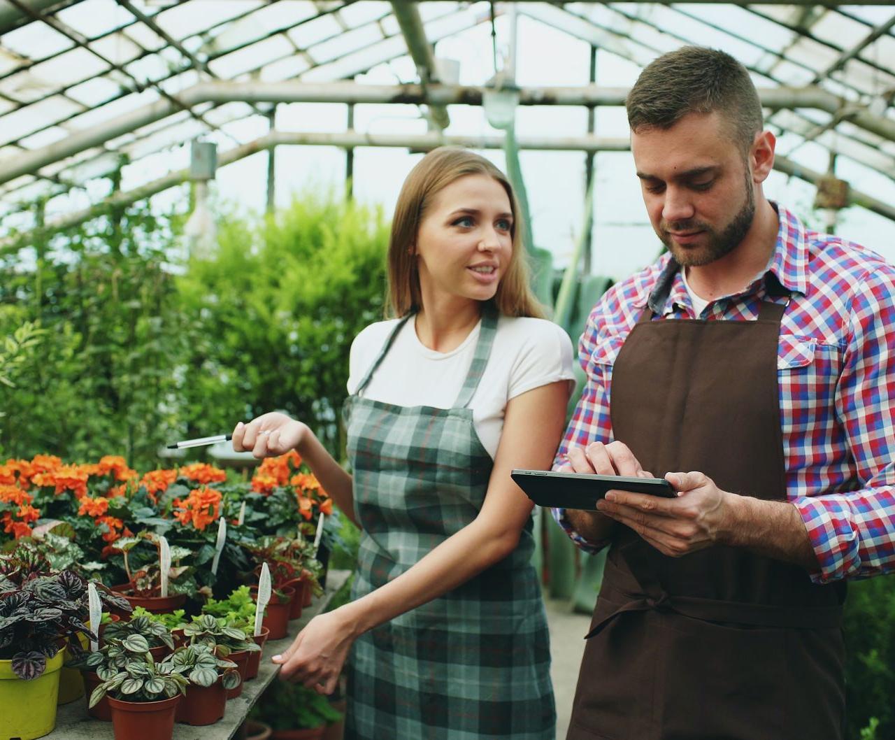 Two workers in a greenhouse using a tablet among various plants and flowers.