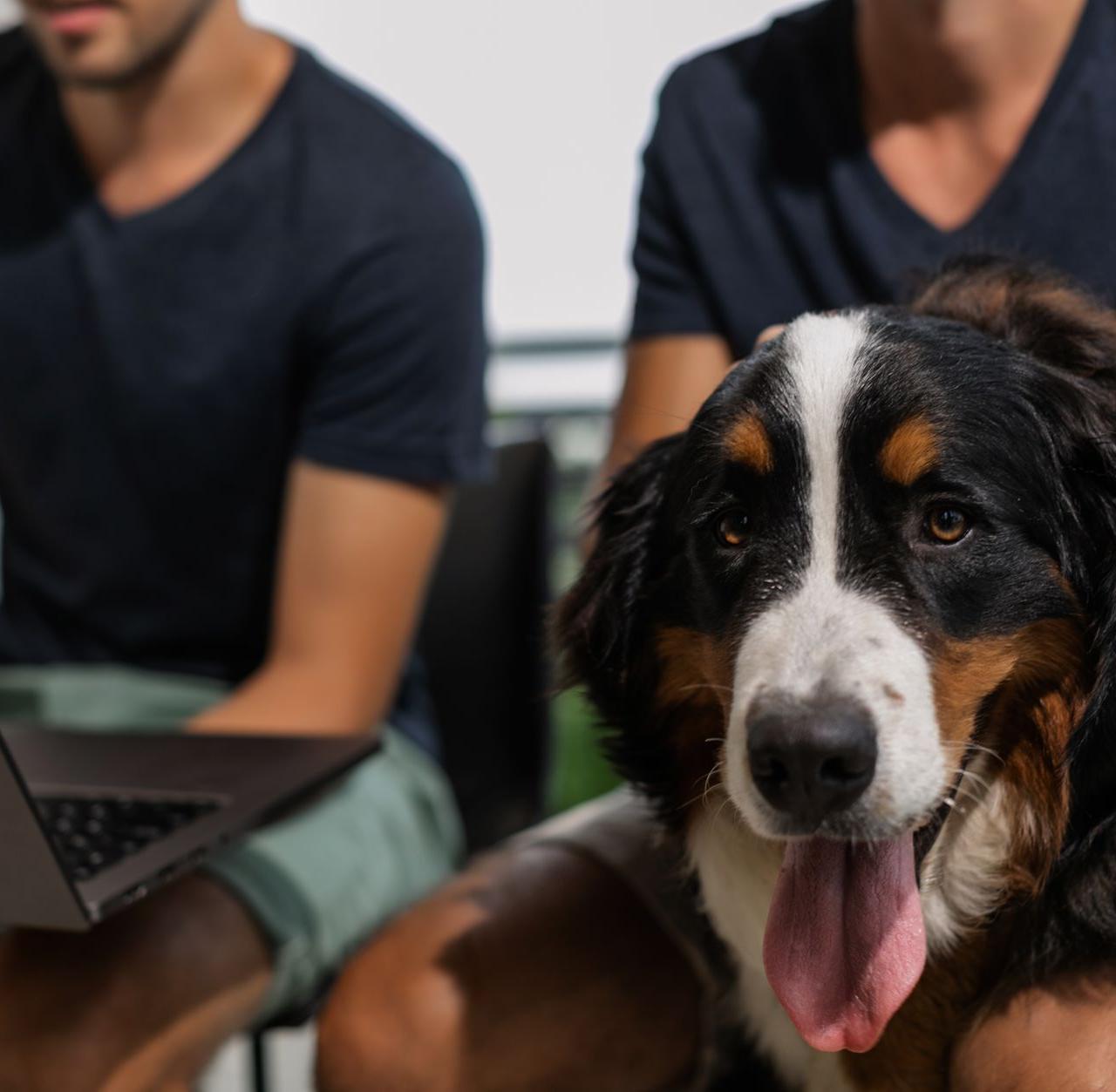 Two men with a Bernese Mountain Dog sitting close together using a laptop indoors.
